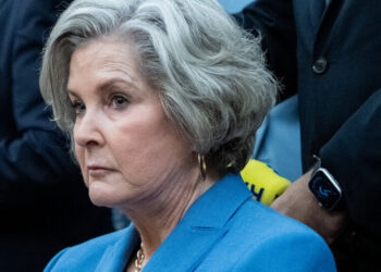 Takeaways From Susie Wiles’s Candid Interviews Describing Trump World