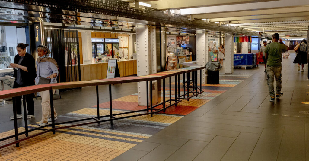 Subways Are for Shopping? A Tough Sell for New Yorkers.