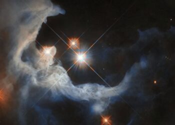 A Stellar Nursery