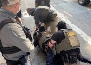 ‘Evil and disgusting’: Pop megastar hammers Trump after song used in ICE video