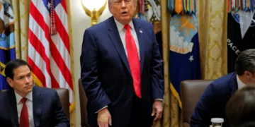 Author reveals Epstein’s warning about Trump: ‘Loves showing the power he has’