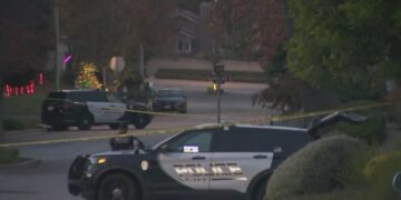 Simi Valley doctor and wife were fatally shot in their garage by his son, police say