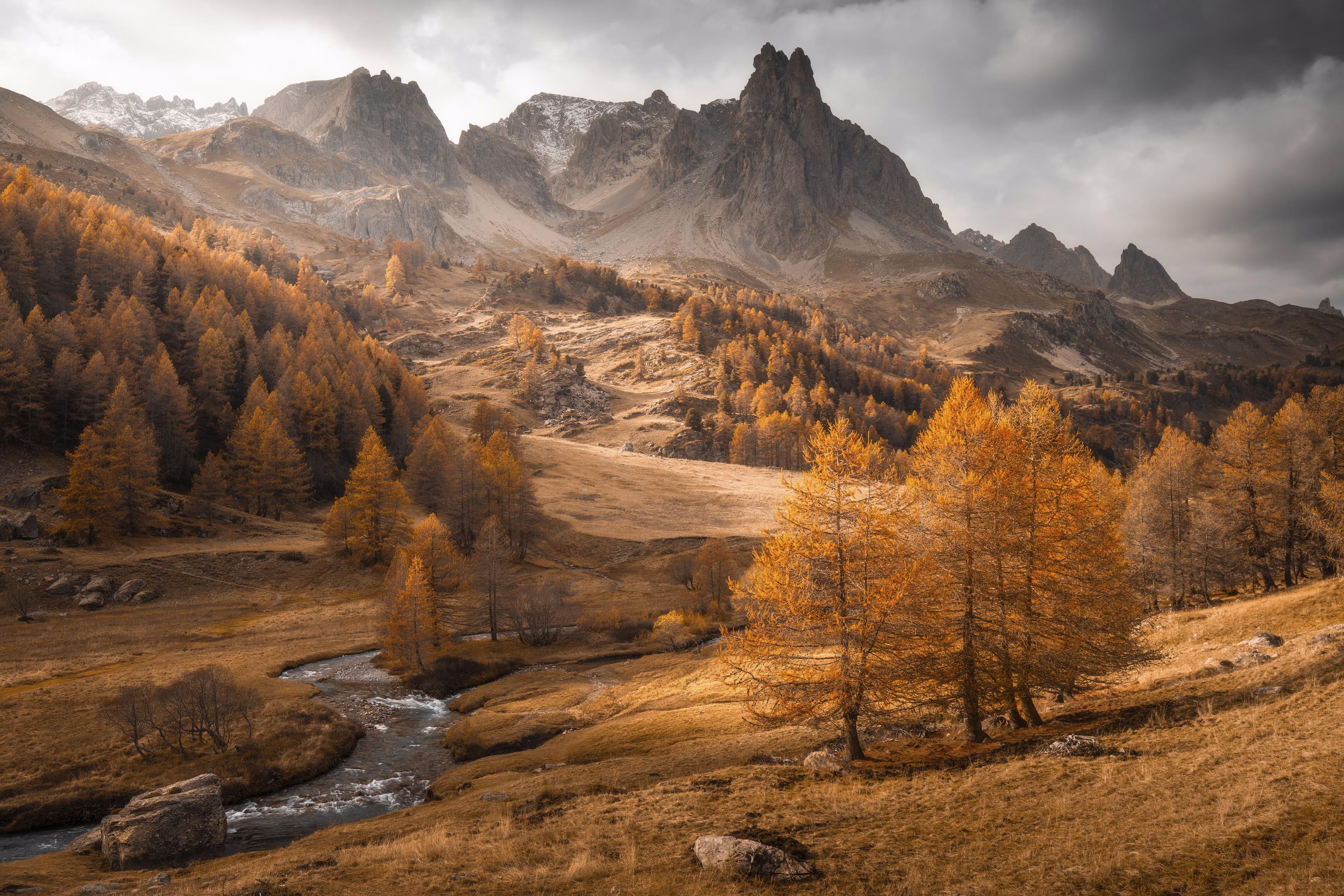 A broad view of an alpine valley and stony mountains with trees and grass a golden color