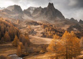Winners of the 2025 International Landscape Photographer of the Year
