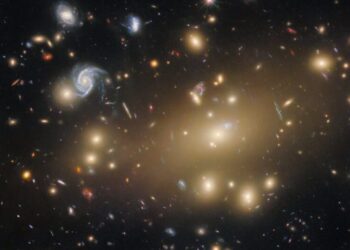 A Galactic Cluster