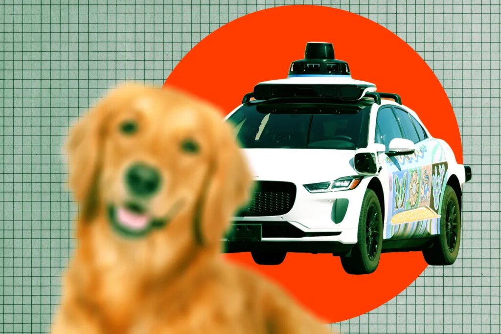 Children Sob as Waymo Runs Over Dog