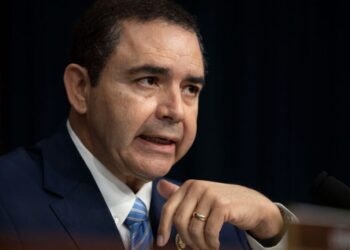 Making sense of the Henry Cuellar pardon