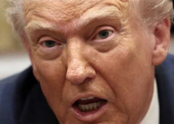 ’12-year-old’: Profile shows Trump is in an ‘adult fantasy camp’ as he grows more childish