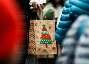 Holiday spending plans plunge to lowest level ever as Trump economy triggers panic: data