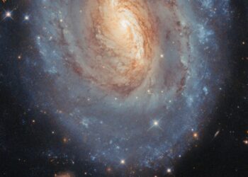 Colorful Stars of All Ages