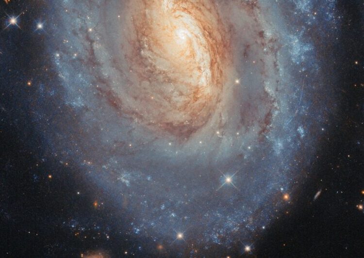 Colorful Stars of All Ages