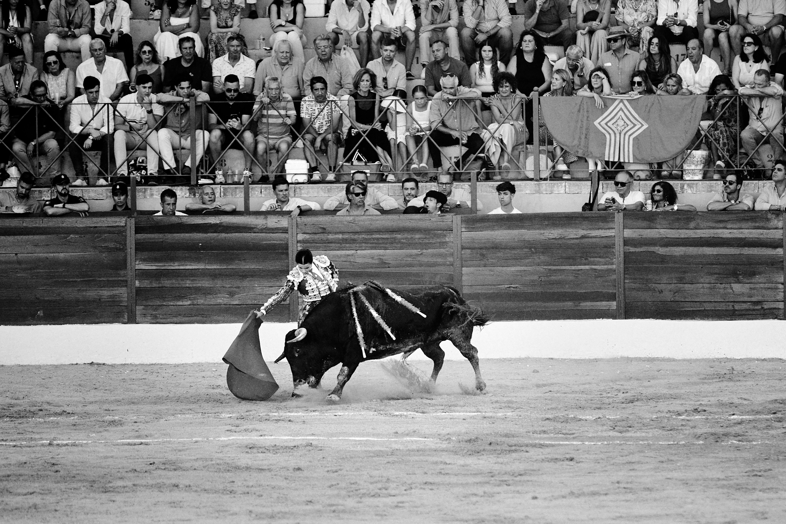 2 of 4 black-and-white photos of woman fighting large bull