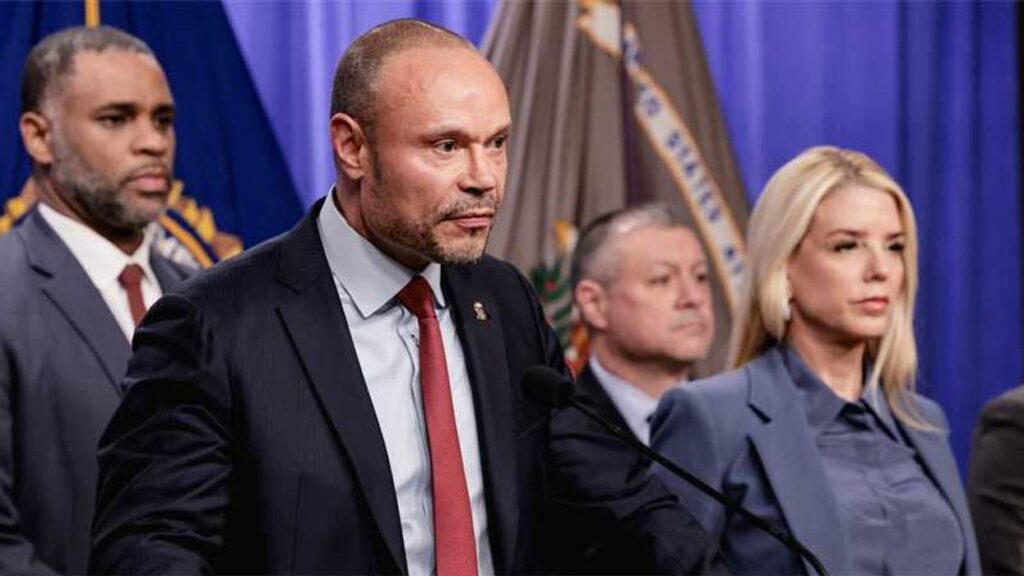 ‘Make it make sense’: Bongino’s flip-flop on pipe bomber ripped apart on MS NOW