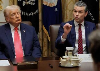 Trump’s ‘childlike grifter’ inner circle is putting the US at risk: military expert