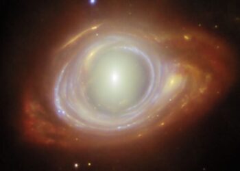 A Warped View Through an Einstein Ring