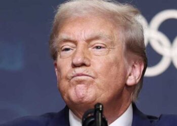 ‘Long and brutal campaign’ to avoid impeachment​ set to hurt even Trump allies: insider