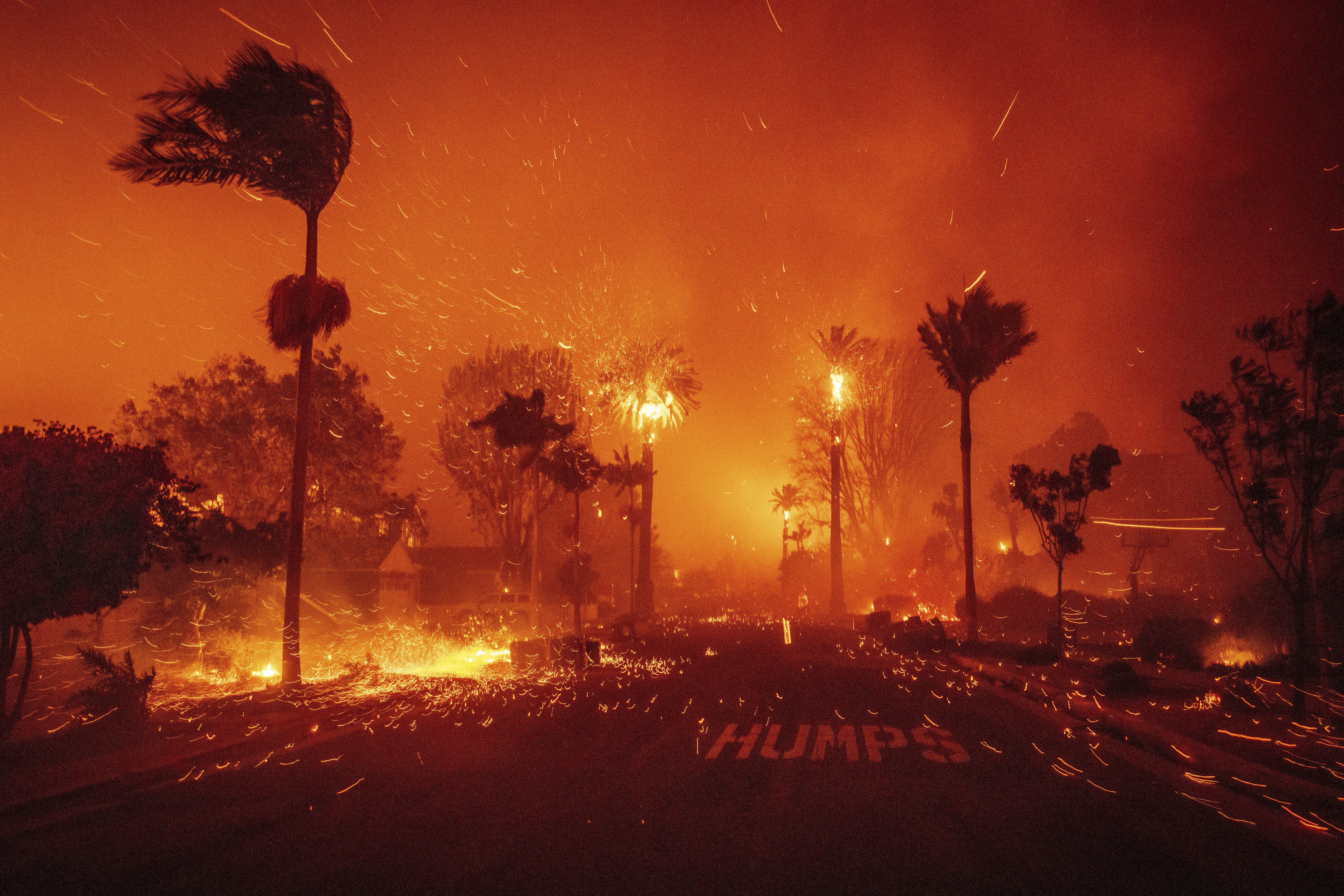 Sparks, flames, and smoke fill the sky as wind whips burning palm trees along a city street.