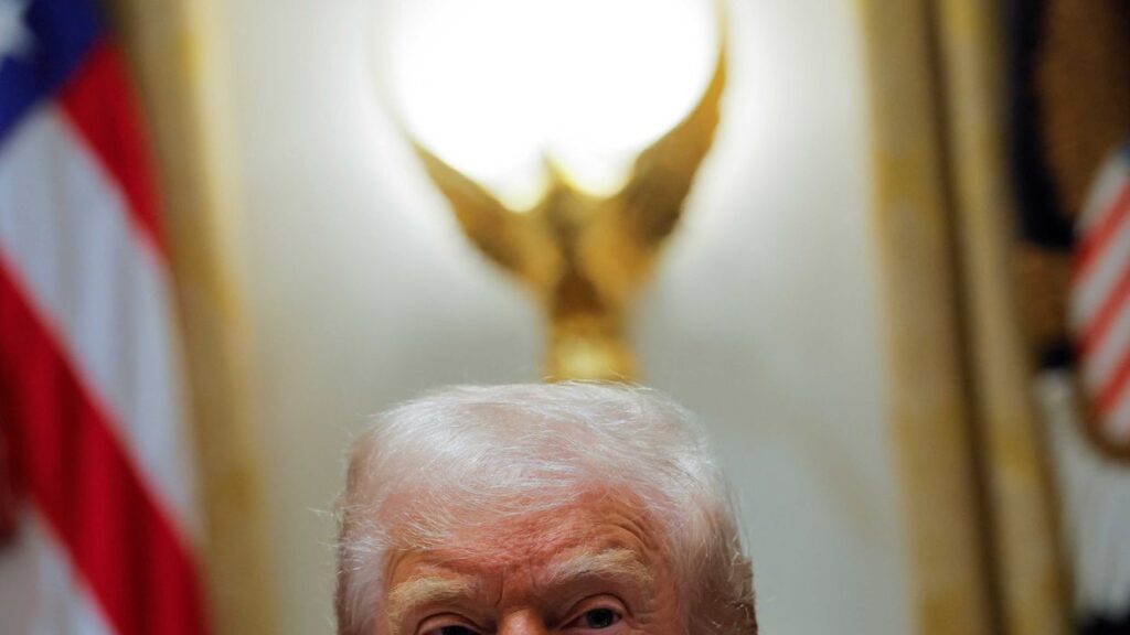 Trump mocked ‘goofy’ Jan 6 theories in private — and called key aide ‘loser’: insiders