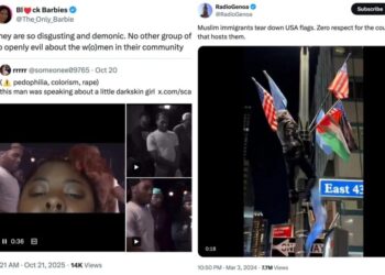 A social-media exposé reveals ‘American’ influencers exploit us from abroad