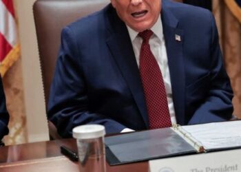 ‘He wants political loyalty’: Legal expert bashes Trump’s ‘most callous and craven’ pardon