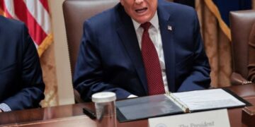 ‘He wants political loyalty’: Legal expert bashes Trump’s ‘most callous and craven’ pardon