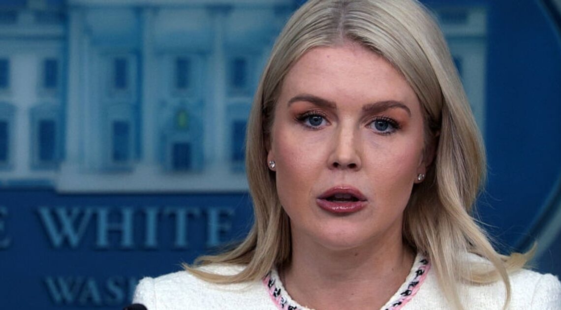 Karoline Leavitt Berates Republicans for Not Being Nice Enough About Trump