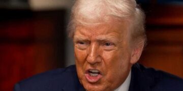 Trump insists birthright citizenship only ‘meant for the babies of slaves’