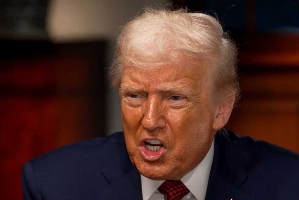 Trump insists birthright citizenship only ‘meant for the babies of slaves’