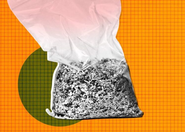 You Will Never Guess What This Startup Is Turning Human Remains Into