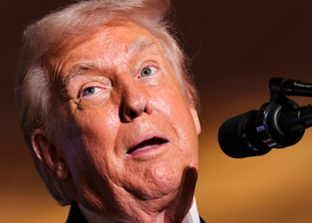 ‘Out-to-lunch’ Trump’s inability to admit failure spells likely GOP losses: Dem strategist