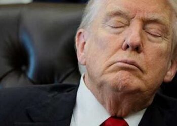 ‘Panic all the time’: Trump allies reportedly worried about president’s new meeting habit