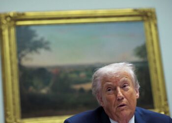 ‘You work for the Democrats!’ Irked Trump ends roundtable after bashing CNN reporter