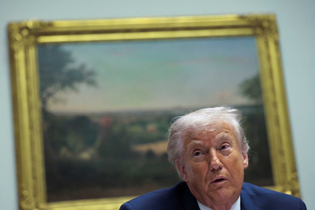 ‘All that glitters is not gold’: Trump’s shiny new scheme brutally mocked