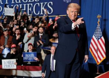 Column warns Trump revealed a ‘deep truth’ with new ‘flying elephant no one should ignore’