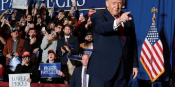 Column warns Trump revealed a ‘deep truth’ with new ‘flying elephant no one should ignore’