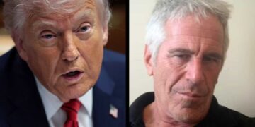 New emails suggest Trump made ‘insulting’ bid to fund Epstein-linked modeling ‘project’