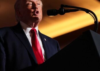 ‘Trump tells the truth’: House Republicans back racist attacks on Somalia, Omar and more