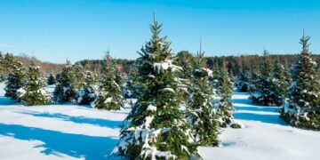 What Climate Change Means for White Christmases