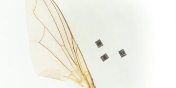 Scientists Reveal Robot Small Enough to Travel Through Human Body