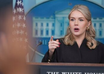 Mother of Karoline Leavitt’s Nephew Hits Out at Press Secretary After Release From ICE Detention