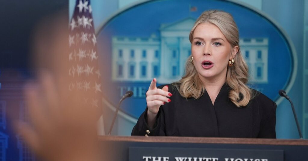 Mother of Karoline Leavitt’s Nephew Hits Out at Press Secretary After Release From ICE Detention