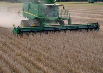 More financially distressed farmers are expected to lose their property soon as loan repayments and incomes continue to falter