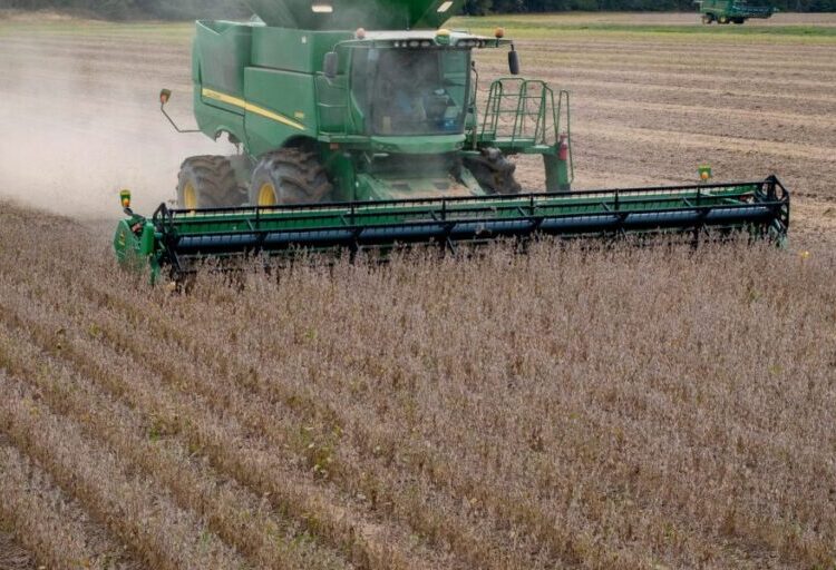 More financially distressed farmers are expected to lose their property soon as loan repayments and incomes continue to falter