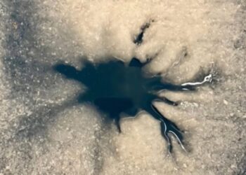 Scientists Intrigued by Large Spider-Like Blob on Europa