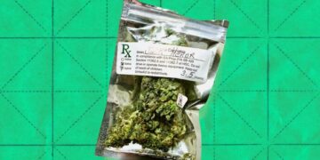 Huge Study Finds Very Worrying Results for Medical Marijuana Patients