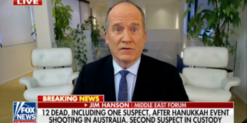 ‘Start rounding them up!’ Conservative commentator blames mass shooting on peace activists