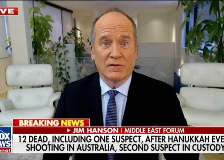 ‘Start rounding them up!’ Conservative commentator blames mass shooting on peace activists