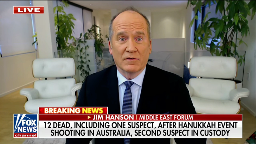 ‘Start rounding them up!’ Conservative commentator blames mass shooting on peace activists