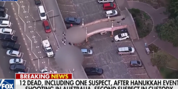 ‘Absolute legend’: Observers hail ‘hard as nails’ man who wrestled gun from mass shooter