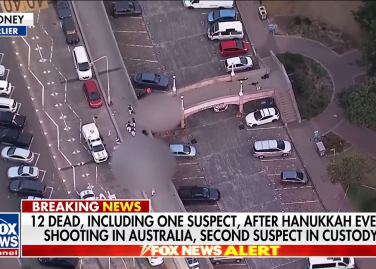 ‘Absolute legend’: Observers hail ‘hard as nails’ man who wrestled gun from mass shooter